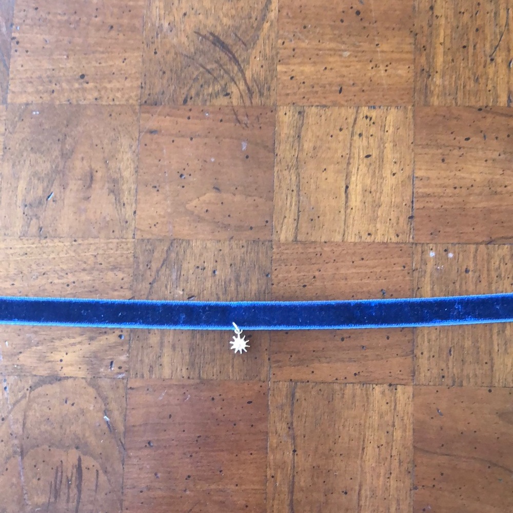 Velvet choker necklace